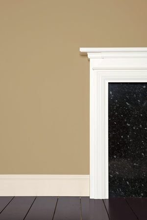 Paint Buff No. 20