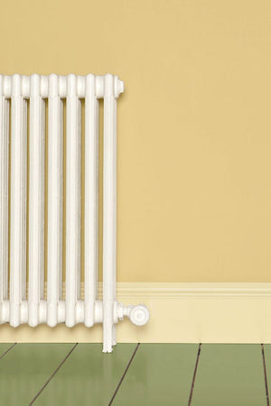 Paint Dorset Cream No. 68