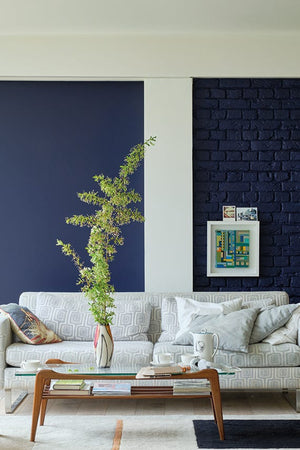 Paint Titmouse Blue No. W24