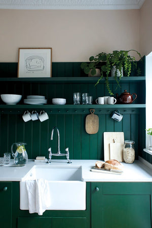 Paint Duck Green No. W55