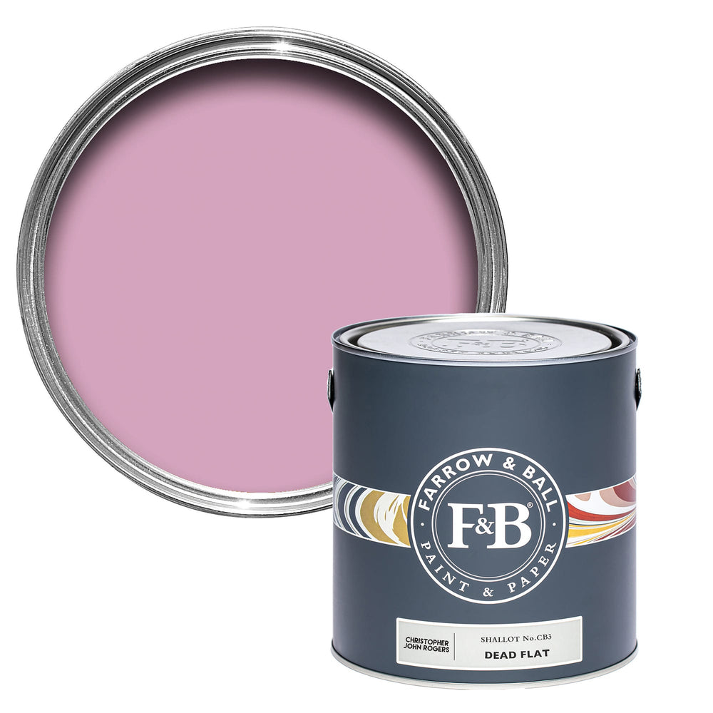 Paint Shallot No. CB3