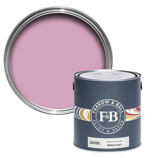 Paint Shallot No. CB3