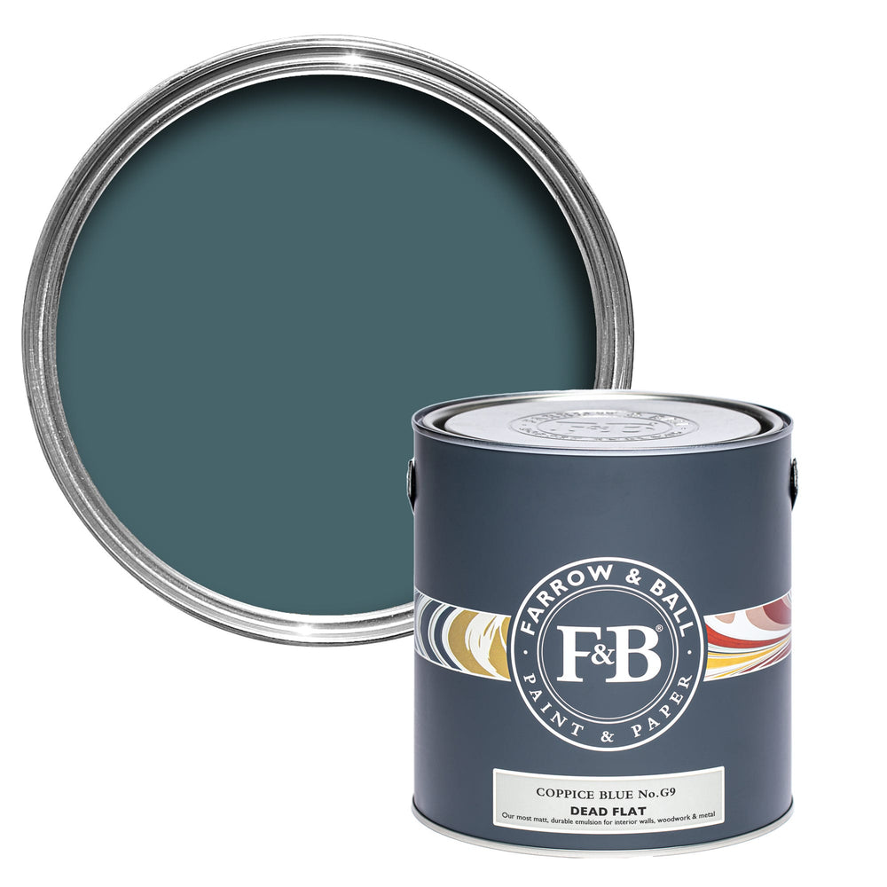 Paint Coppice Blue No. G9