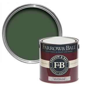 Paint Duck Green No. W55