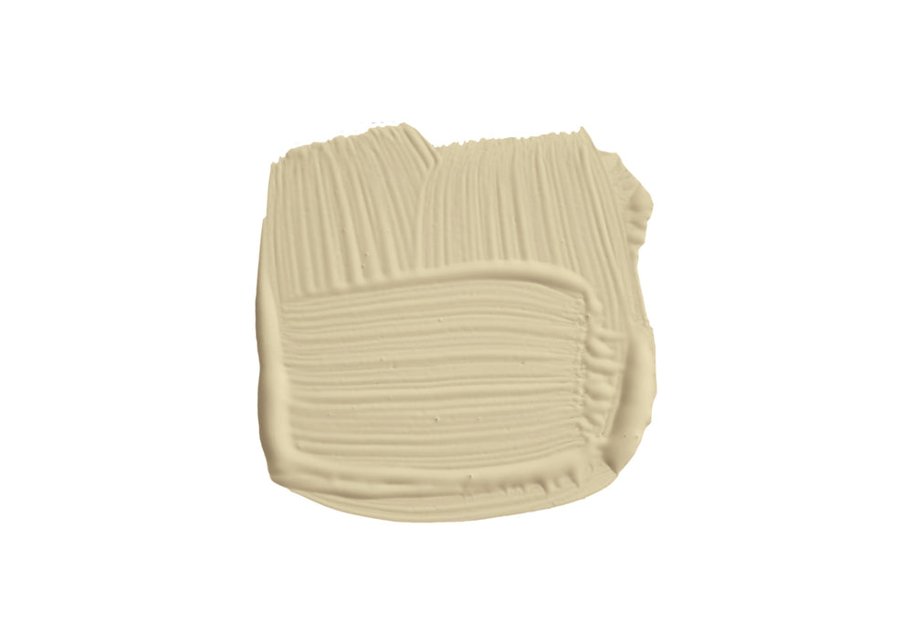 Paint Bone No. 15