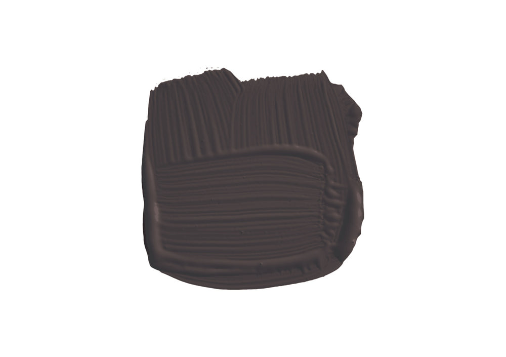 Paint Tanner's Brown No. 255