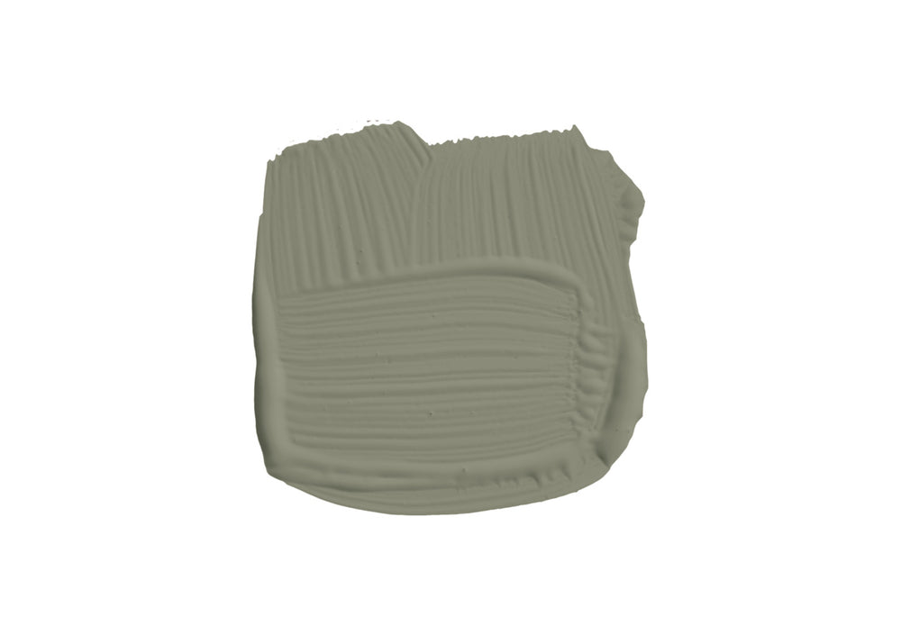 Paint Treron No. 292