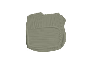 Paint Treron No. 292