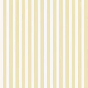Wallpaper Closet Stripe