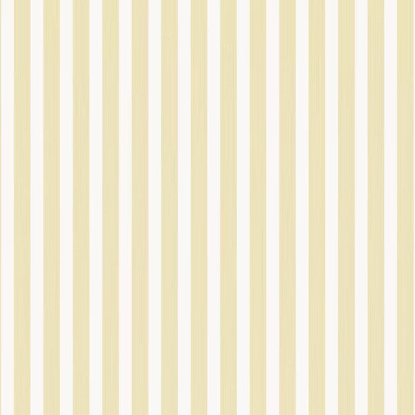 Wallpaper Closet Stripe