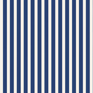 Wallpaper Closet Stripe