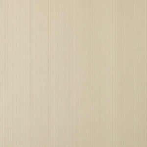 Wallpaper Drag
