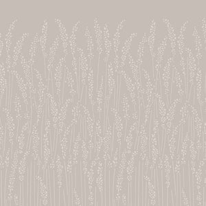 Wallpaper Feather Grass