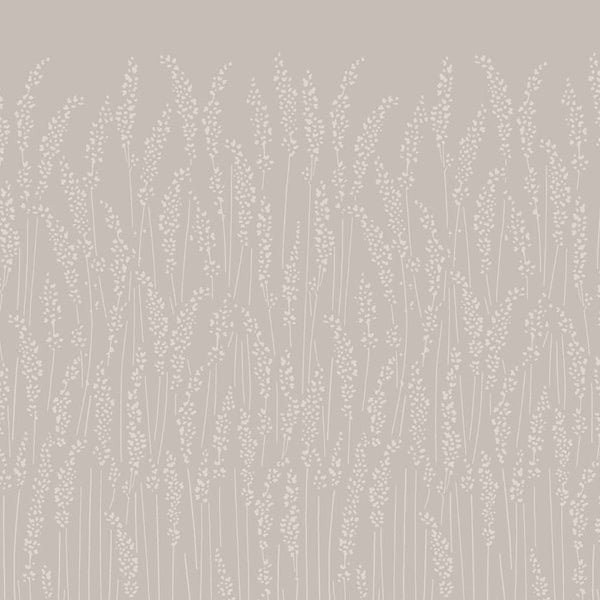 Wallpaper Feather Grass