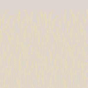Wallpaper Feather Grass