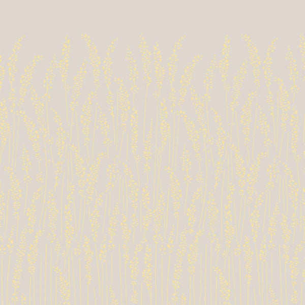 Wallpaper Feather Grass