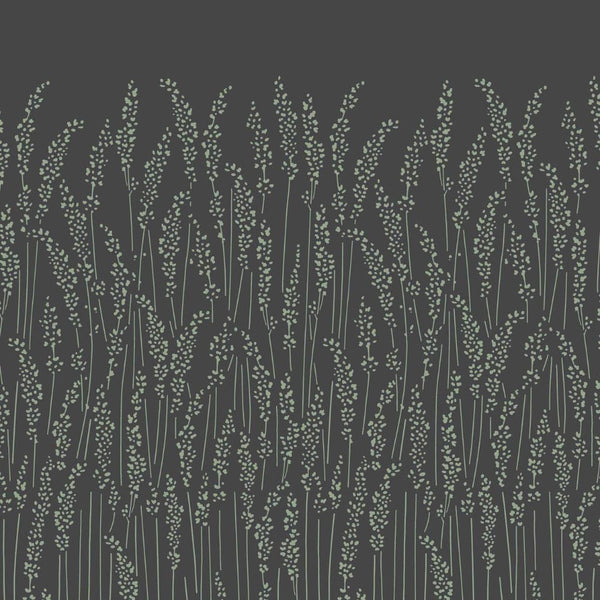 Wallpaper Feather Grass