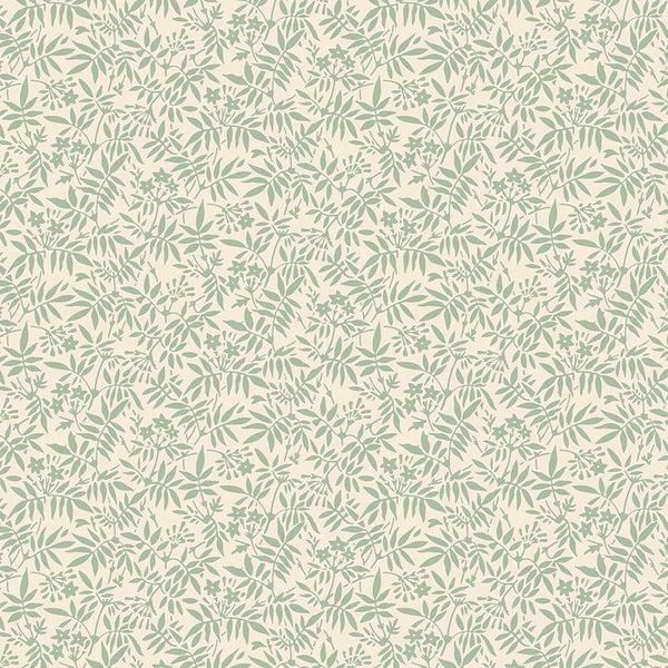 Wallpaper Jasmine