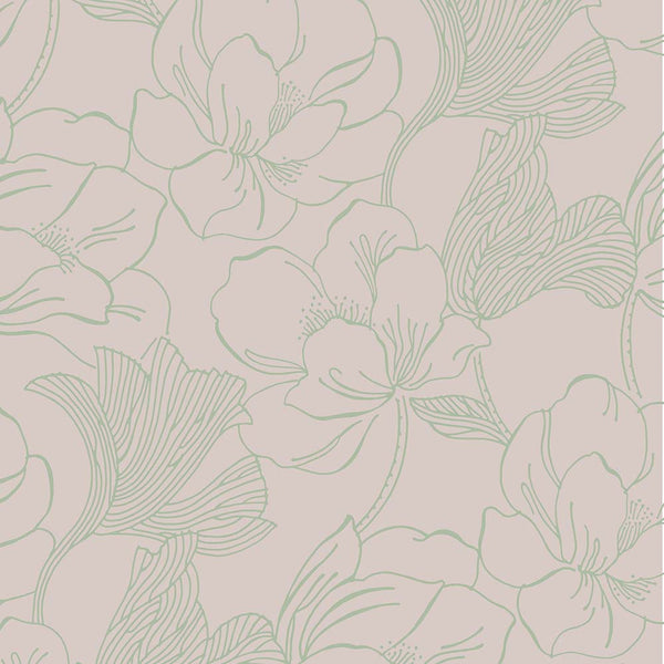 Wallpaper Helleborus