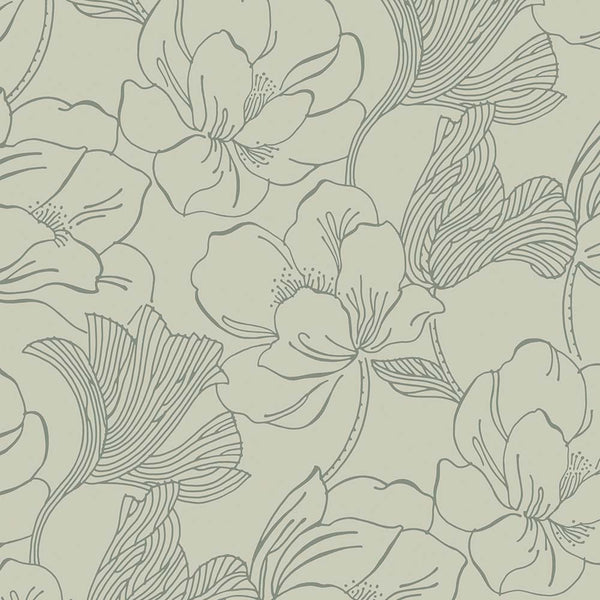Sample Wallpaper Helleborus