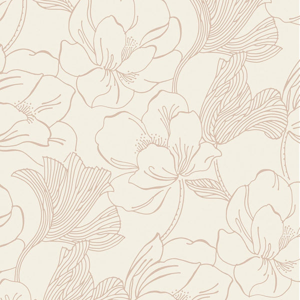 Wallpaper Helleborus