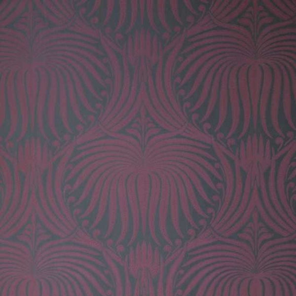 Wallpaper Lotus