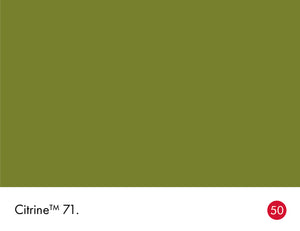 Little Greene Citrine No. 71