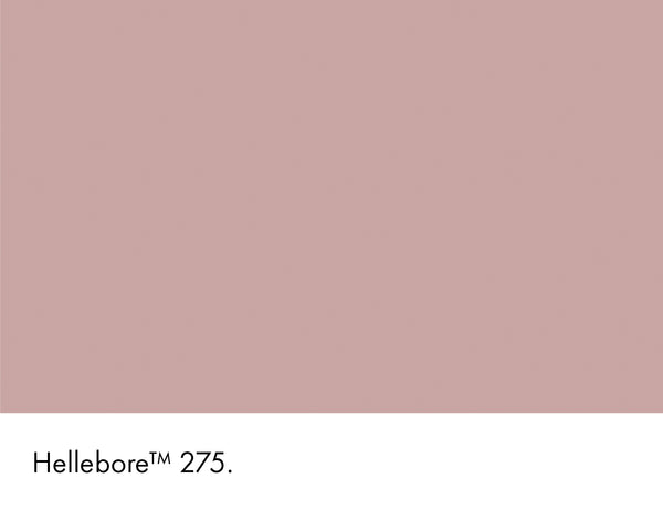Little Greene Hellebore No. 275