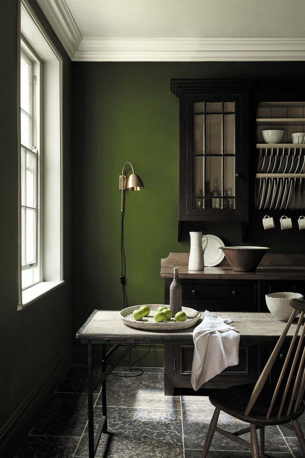 Little Greene Jewel Beetle No. 303