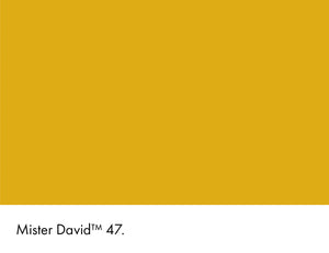 Little Greene Mister David No. 47
