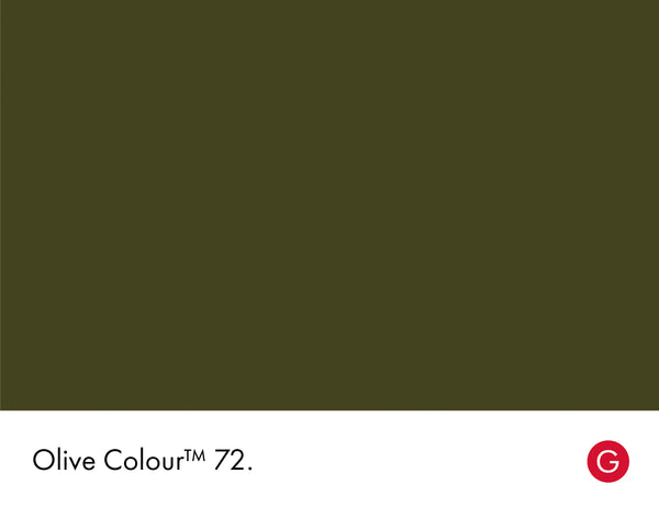Little Greene Olive Colour No. 72