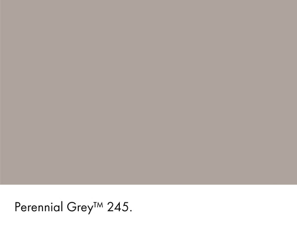 Little Greene Perennial Grey No. 245