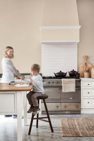 Little Greene Pompeian Grey No. 293