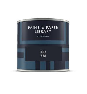 Pote de amostra Paint & Paper Library Ilex No. 558