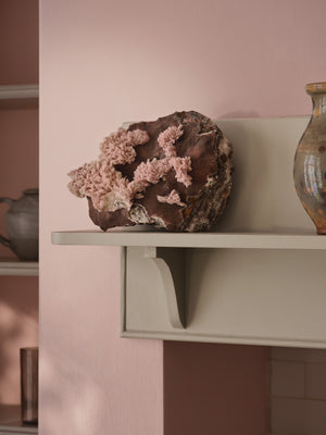 Interior pintado com Paint & Paper Library Rose Cluster No. 717