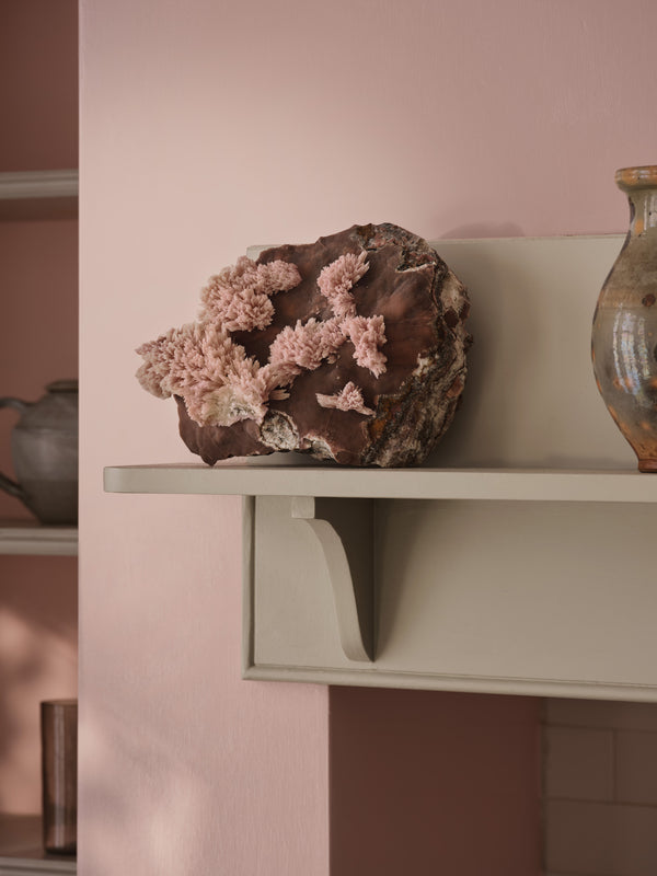 Interior pintado com Paint & Paper Library Rose Cluster No. 717