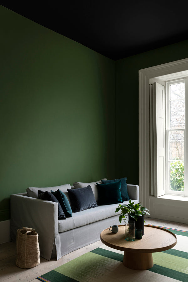 Interior pintado com Paint & Paper Library Wattle II No. 562