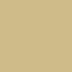 RAL 1000 Green Beige paint colour