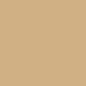 RAL 1001 Beige paint colour