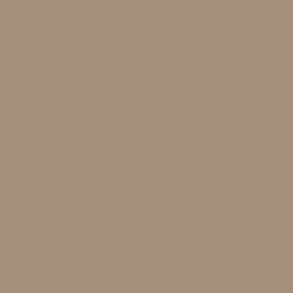 RAL 1019 Grey Beige paint colour