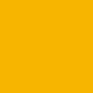 RAL 1023 Traffic Yellow paint colour