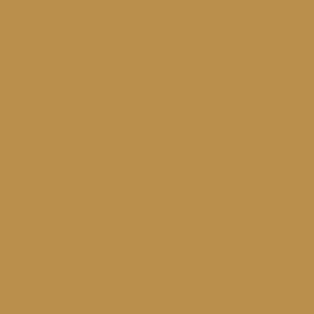 RAL 1024 Ochre Yellow paint colour