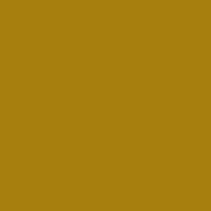 RAL 1027 Curry paint colour