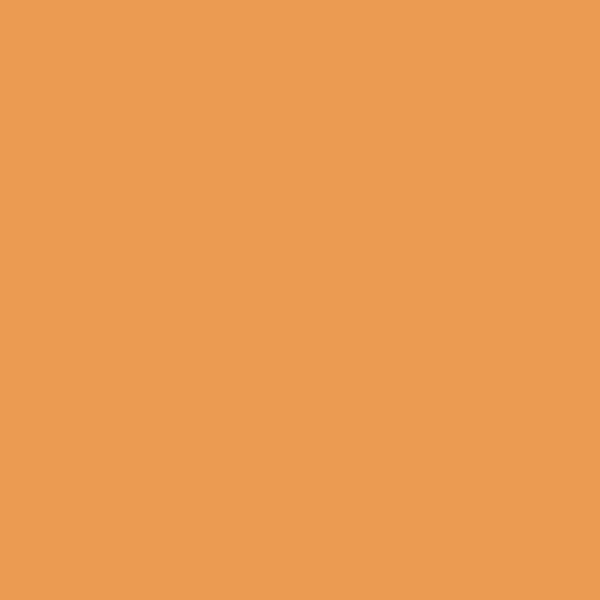 RAL 1034 Pastel Yellow paint colour