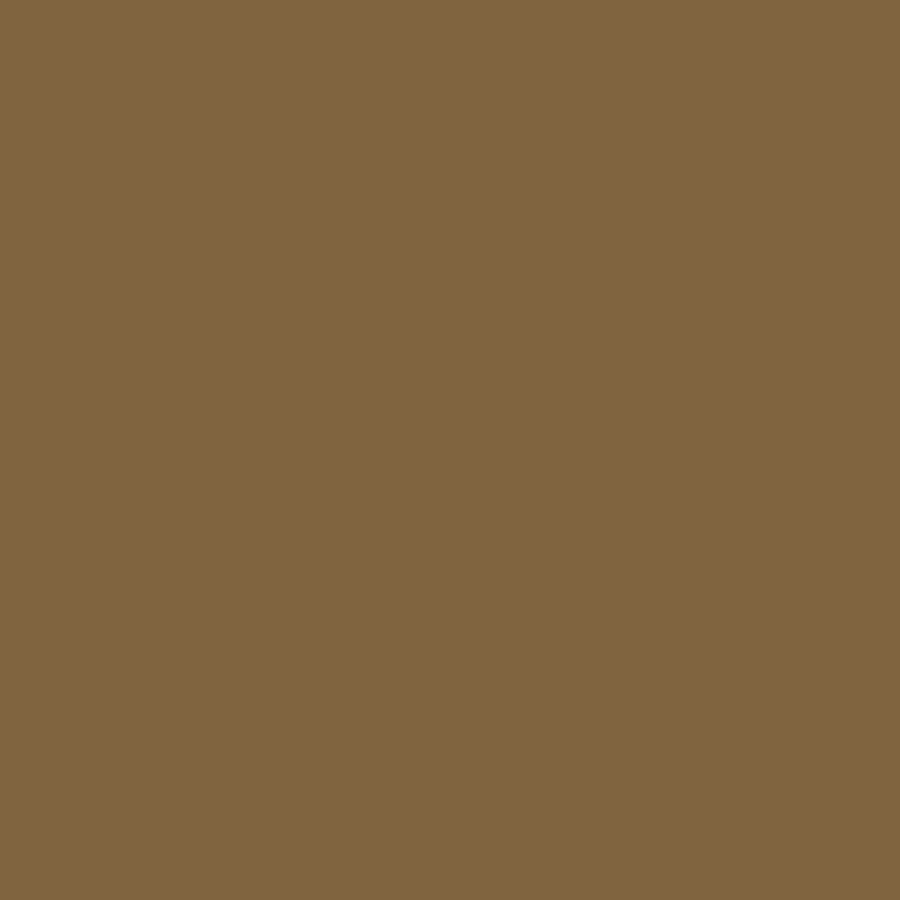 RAL 1036 Pearl Gold paint colour