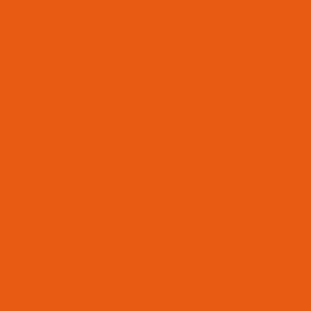 RAL 2004 Pure Orange paint colour