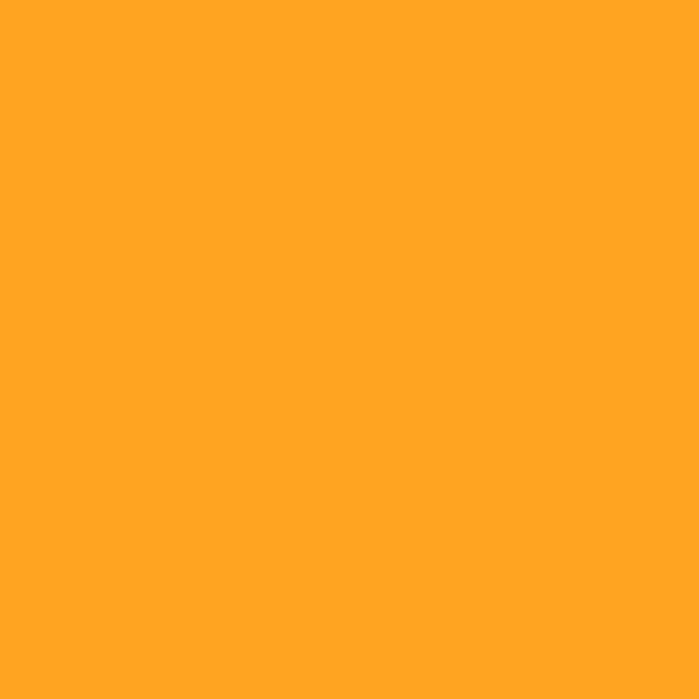 RAL 2007 Luminous Bright Orange paint colour