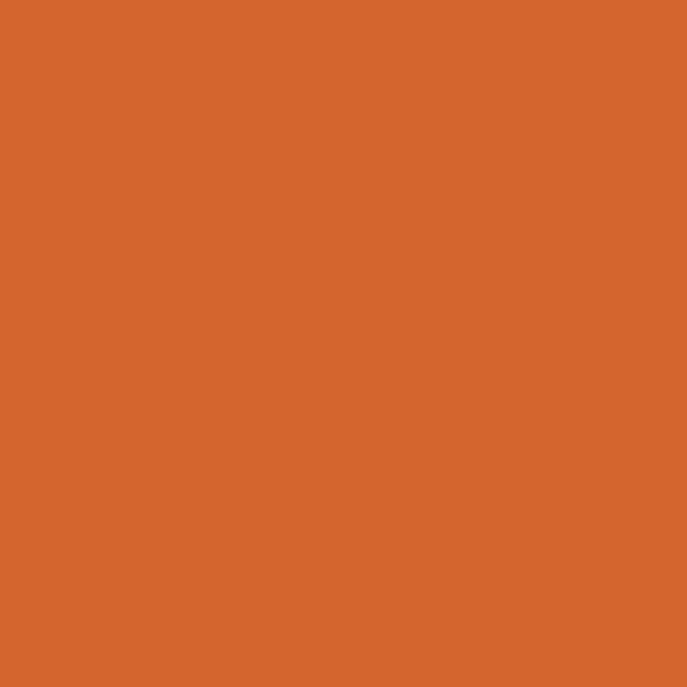 RAL 2010 Signal Orange paint colour