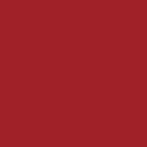 RAL 3001 Signal Red paint colour