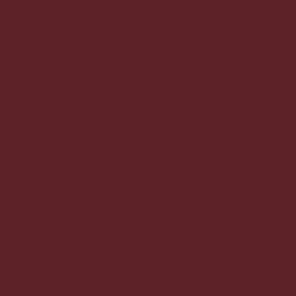 RAL 3005 Wine Red paint colour